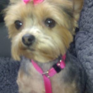 Meet your Posher, Deborah